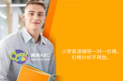 小學(xué)英語輔導(dǎo)一對一價格，價格分析不再愁。